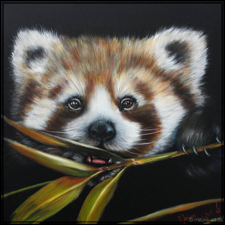 Roter Panda 2 Acryl auf Leinwand;
80 x 80 cm